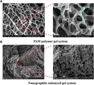 Recent advances in enhanced polymer gels for profile control and water shutoff: A review